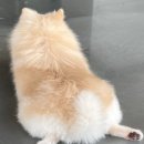 겟풀(GETPOOL) 이미지