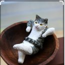 아동4통 이미지