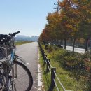 약골자전거도로 이미지