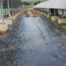 제일좋은 태양광발전소 이미지