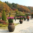 곰배령가든 이미지