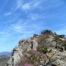 37-18 남해-응봉산~설흘산(진달래).남파랑길트래킹(다랑이지겟길 유채꽃) 이미지