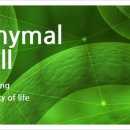 정진바이오 이미지