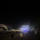 한마음 | 안동 탈춤공원 벚꽃축제 2026 실시간 현황 만개 | 한마음콘서트 후기