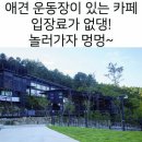 애견1번지 이미지