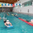 청소년수련관 수영장 이미지