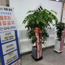 푸른당구장 이미지