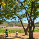 율곡화장실 이미지