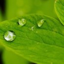 옥정발전소 이미지