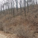 신도리-5 이미지