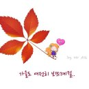 귤팡 이미지