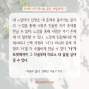쓰담쓰다