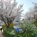 삼평어린이공원 이미지