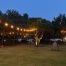 서울애견 이미지