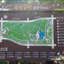 중앙공원 앞 이미지