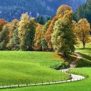 거제행정사사무소 이미지