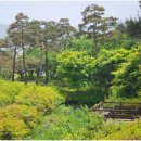 삼산 소공원 이미지