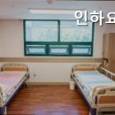 인하요양원