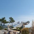 마이다스의손 - 강서구 하늘길 38 | 마이다스의손