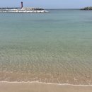 영심이네 펜션 이미지