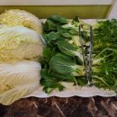 샤브더맛집 이미지