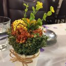 연세나을병원 이미지