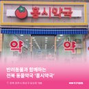 전주시동물약국 이미지