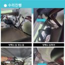 대호약품 이미지