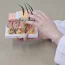 서귀포한의원 이미지