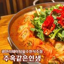 광안리 맛집 추천 : 최고의 한식 주점 주옥같은인생