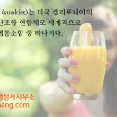 나이스행정사사무소 이미지