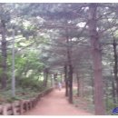 선유주유소 이미지