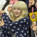 스테이씨 | 250413 스테이씨 콘서트 후기 (vip 1층 플로어 나구역 5열)