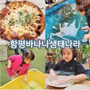 가나농장 | 나주근교 함평바나나생태나라 주말 아이랑 다녀온 후기