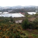 분토농장 이미지