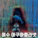 여수게스트하우스벨루가B | 여수 아쿠아플라넷 할인 주차꿀팁