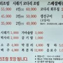 신코다리네