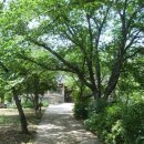 고산사목조석가모니불좌상 이미지