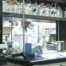 신기원건강 이미지