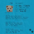 1338 | [#1338] 뭉(양측 슬개골탈구 G3)의 수술후기