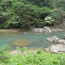 진안농협주유소 이미지