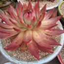 신용카부분정비 이미지