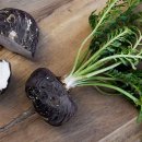 마카오래 이미지