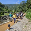 앵지밭골 이미지