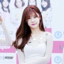 개예쁘다 이미지