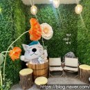 백암스파월드 이미지