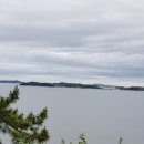 바다와푸른솔 이미지