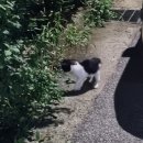 디저트39 구미옥계점 이미지