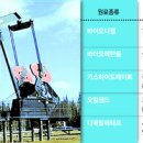 유채꽃향기처럼 이미지