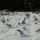 토산농장 이미지